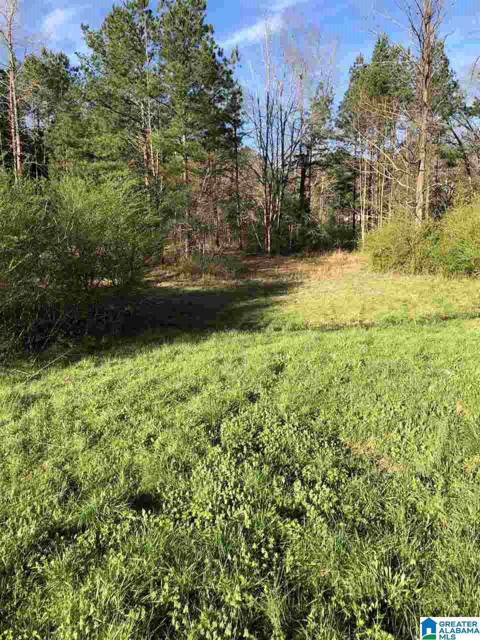 1000 Mulberry Hills Road Hayden, AL 35079 - Photo 9 of 12