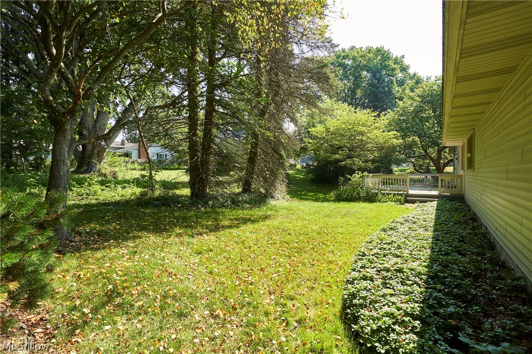 299 West Caston Road New Franklin, OH 44319 - Photo 6 of 23 Grassed yard with mature trees, established landscaping, and a wooden deck