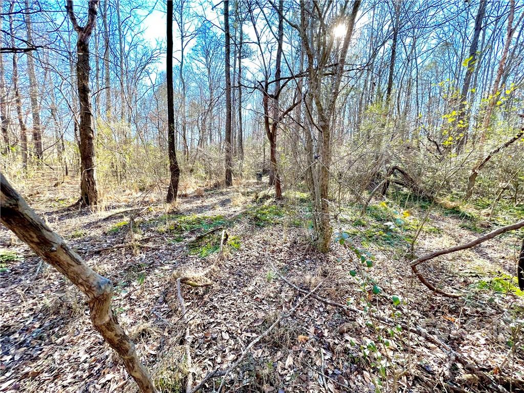 427 Bethlehem Road Kings Mountain, NC 28086 - Photo 13 of 15 Gallery Image 13