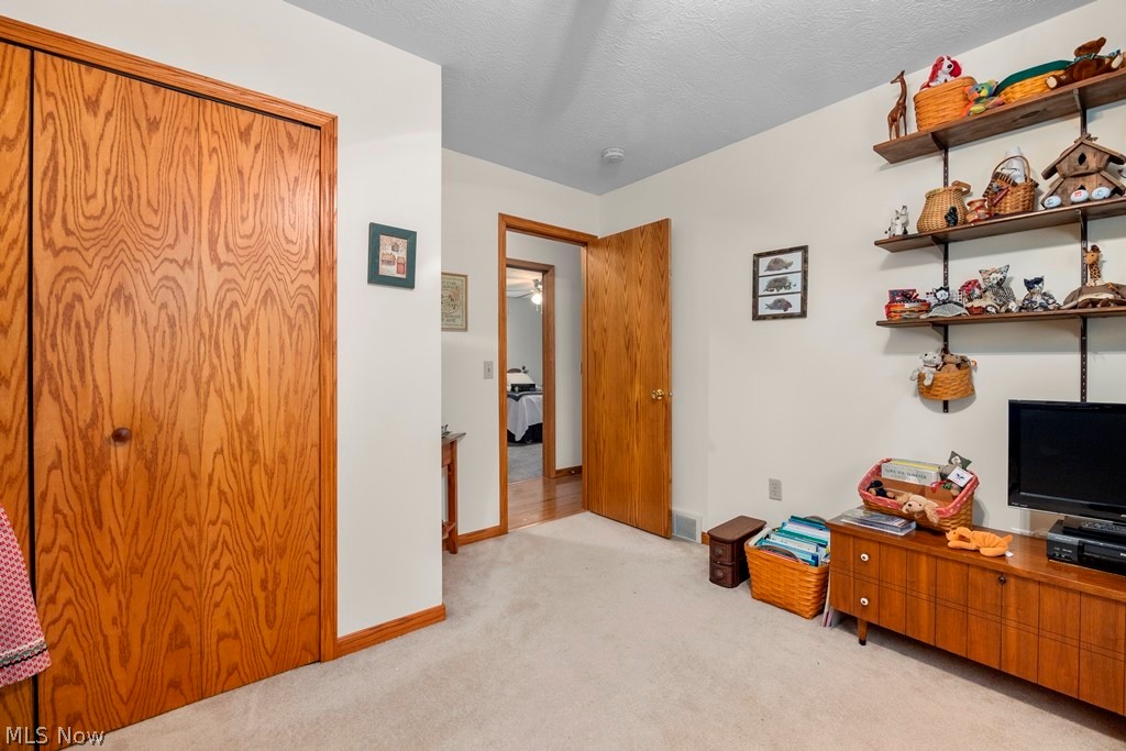 20290 Indian Hollow Road Wellington, OH 44090 - Photo 15 of 45