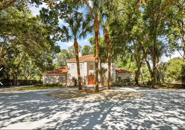 a view of road with large trees