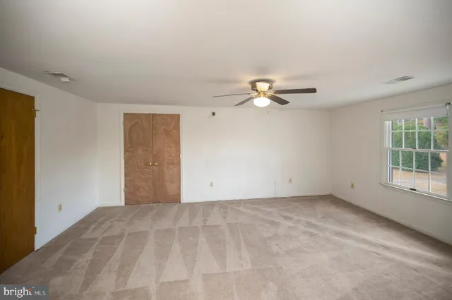 a view of backyard with large tree
