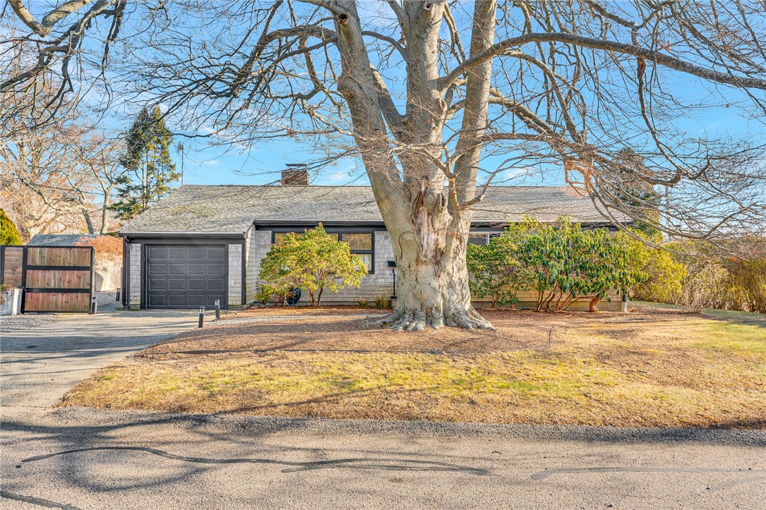 *note: front tree was removed since photos