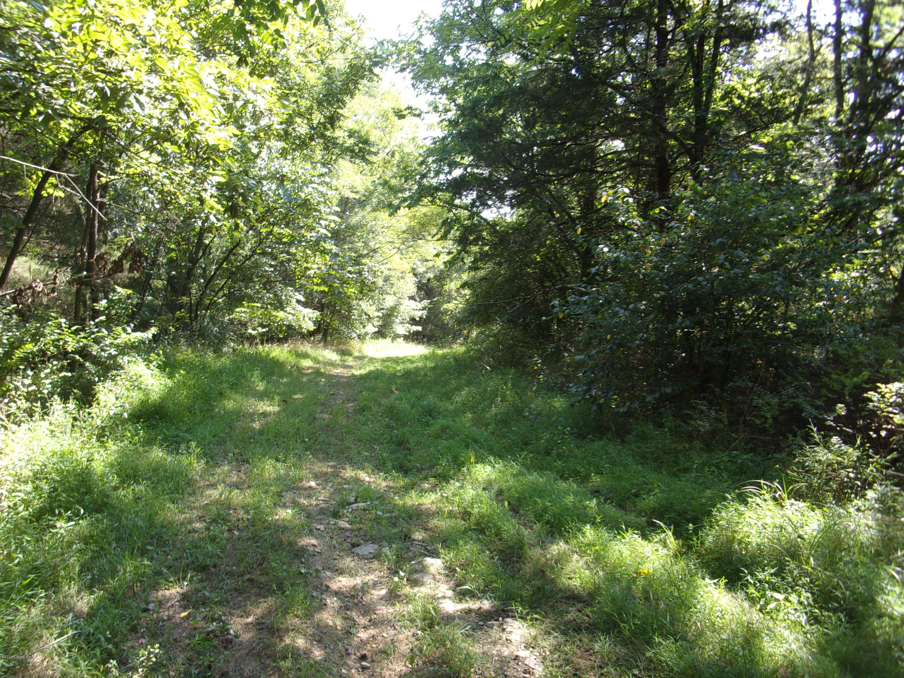 1655 Holt Ridge Road Bloomfield, KY 40008 - Photo 11 of 25 101_0992