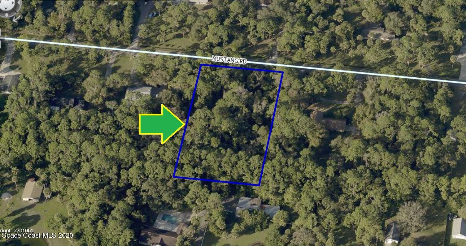 0 Mustang Road Melbourne, FL 32934 - Photo 4 of 8 a view of a forest