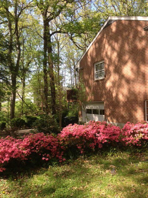 3729 Heatherton Road Southwest Roanoke, VA 24014 - Photo 4 of 29 Heatherton 4
