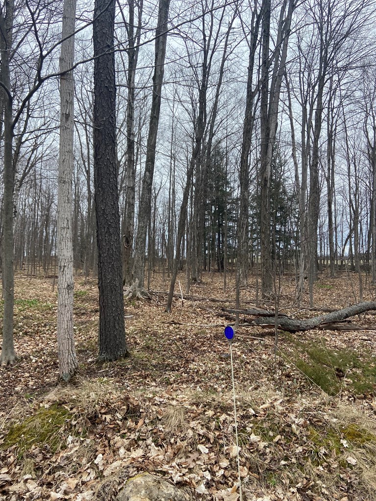 Lot 7 Heritage Meadows Road Egg Harbor, WI 54209 - Photo 2 of 3