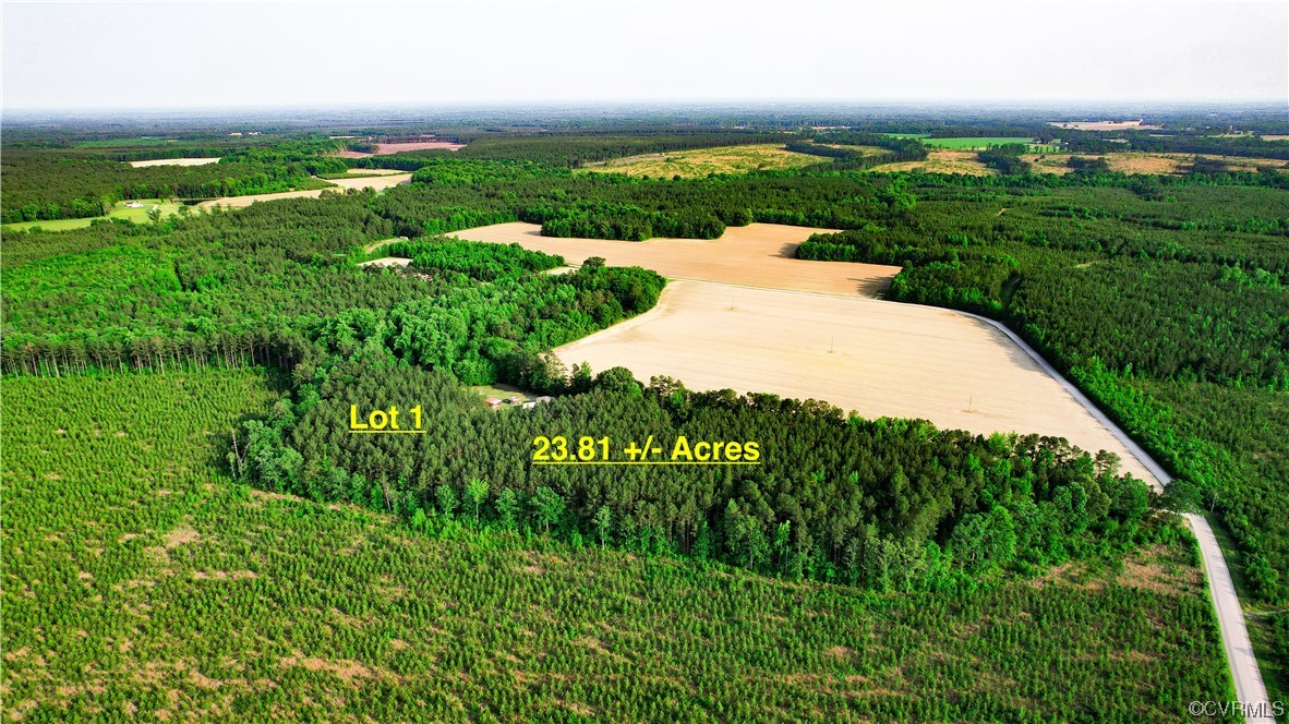 20602 Reese Road Dinwiddie, VA 23841 - Photo 2 of 50 a view of a pathway both side of grassy field with shrub