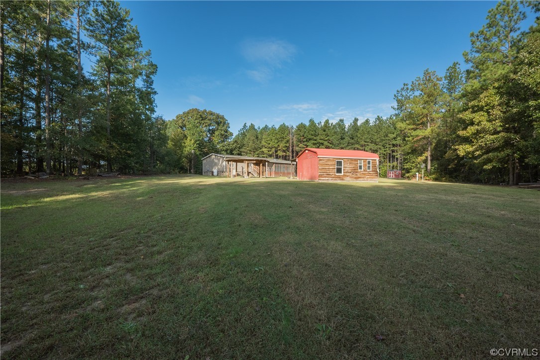 20602 Reese Road Dinwiddie, VA 23841 - Photo 25 of 50 a view of a field of grass and trees