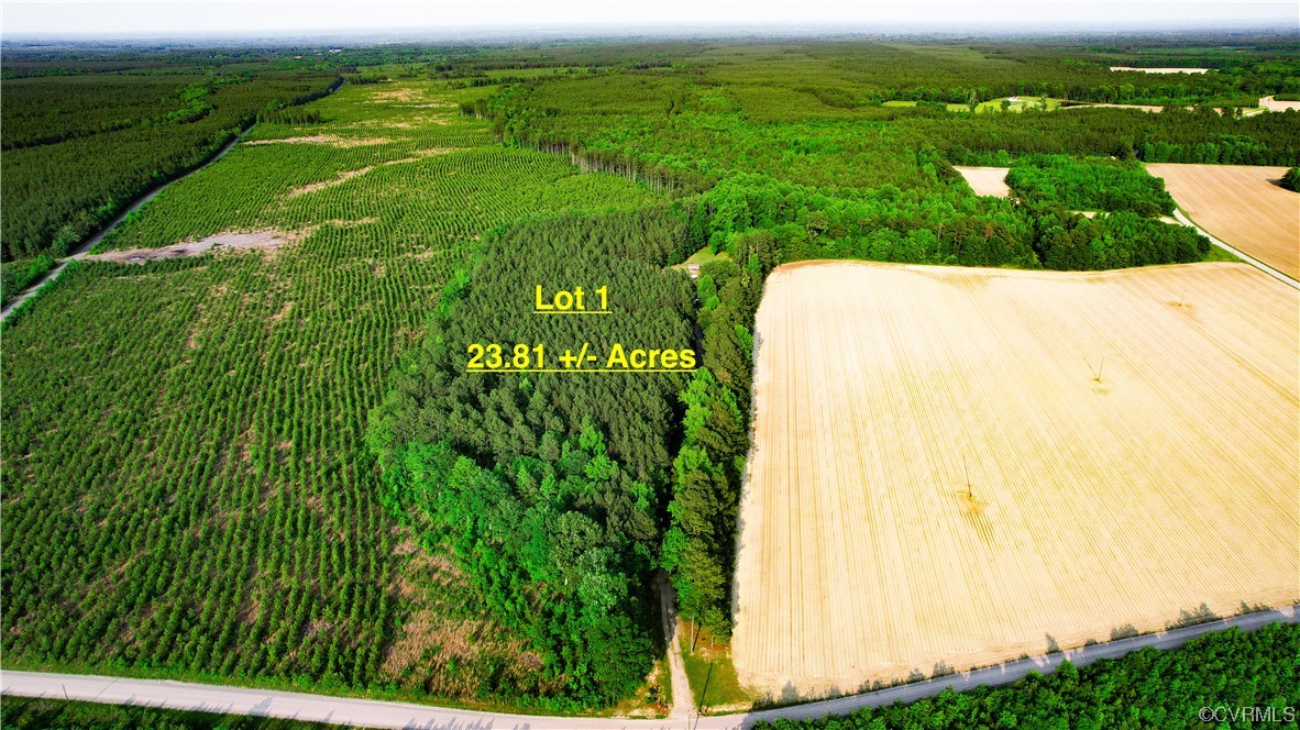20602 Reese Road Dinwiddie, VA 23841 - Photo 3 of 50 a view of a garden from a balcony