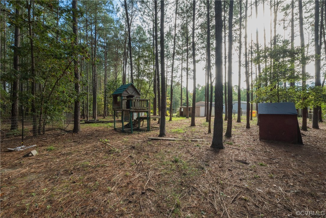 20602 Reese Road Dinwiddie, VA 23841 - Photo 36 of 50 a view of a forest with trees in front of it