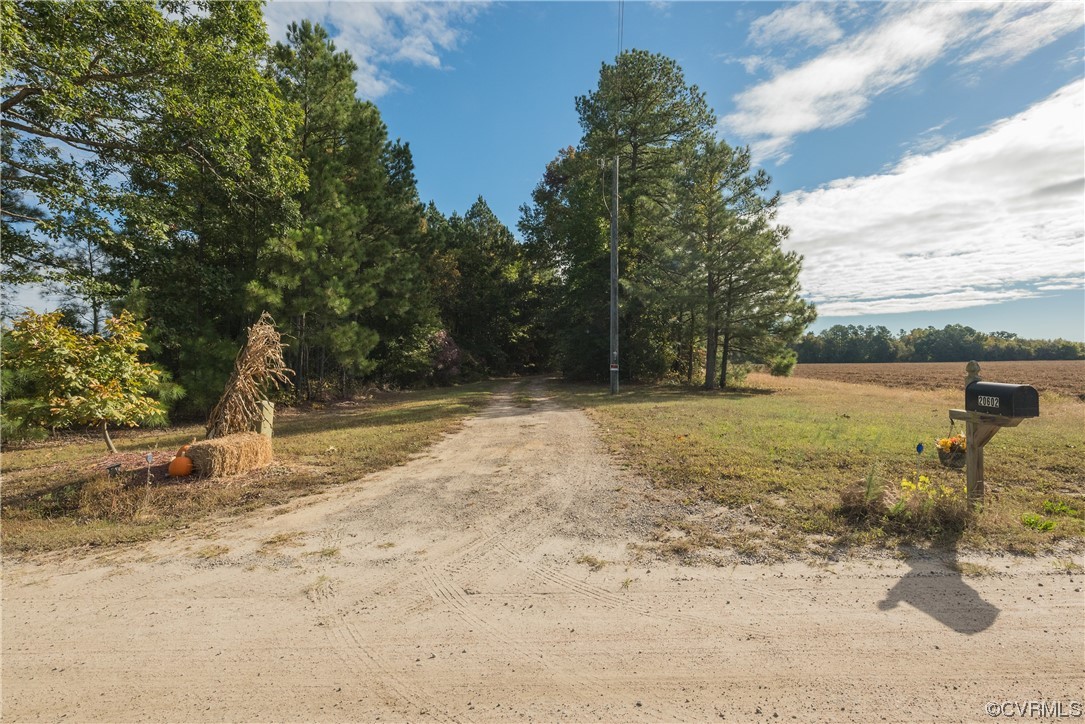 20602 Reese Road Dinwiddie, VA 23841 - Photo 38 of 50 a view of a road with a yard