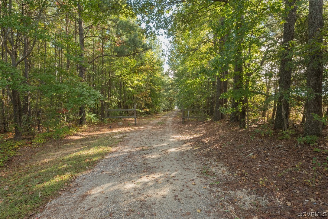 20602 Reese Road Dinwiddie, VA 23841 - Photo 39 of 50 a view of a forest with trees in the background