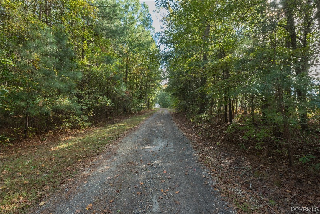 20602 Reese Road Dinwiddie, VA 23841 - Photo 40 of 50 a view of a forest with trees in the background