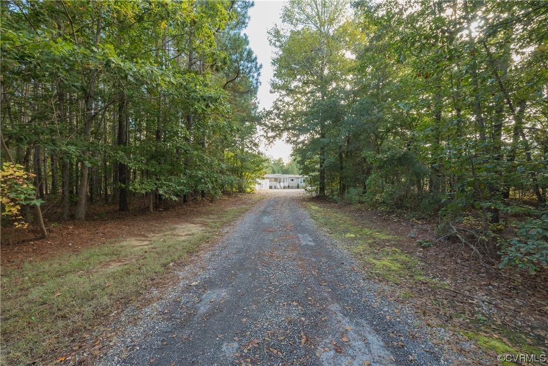 20602 Reese Road Dinwiddie, VA 23841 - Photo 41 of 50 a view of a forest with trees in the background