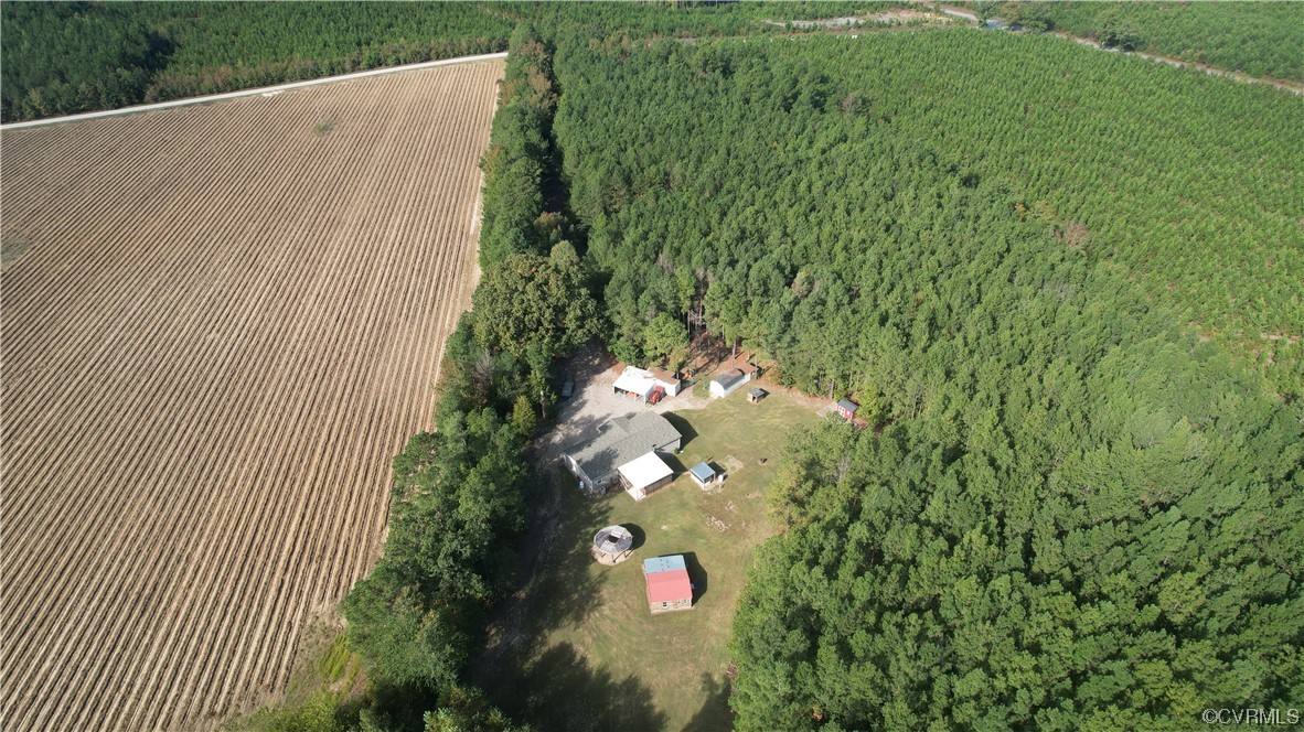 20602 Reese Road Dinwiddie, VA 23841 - Photo 42 of 50 a street view with sitting space and garden view