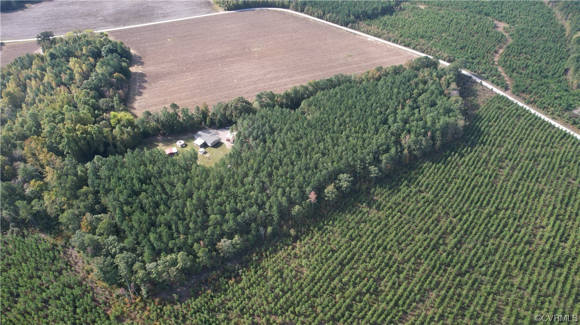 20602 Reese Road Dinwiddie, VA 23841 - Photo 45 of 50 a view of a backyard