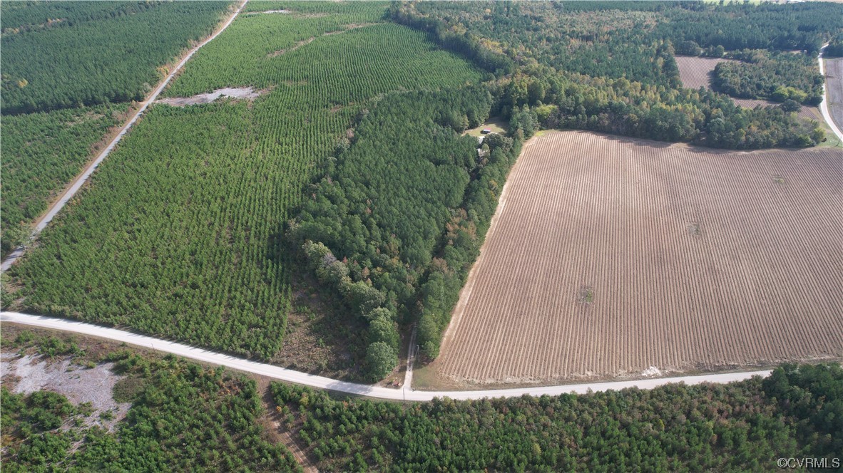 20602 Reese Road Dinwiddie, VA 23841 - Photo 46 of 50 a view of a yard with plants