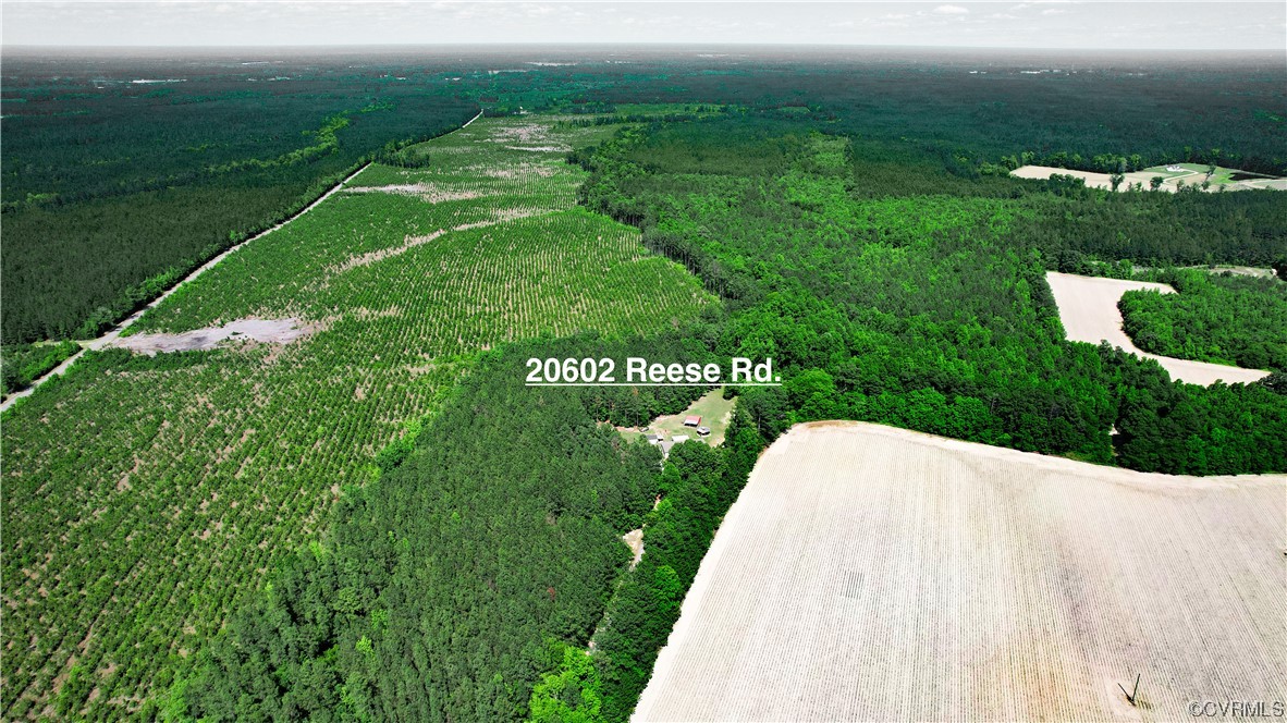 20602 Reese Road Dinwiddie, VA 23841 - Photo 47 of 50 a view of a pathway both side of grassy field with shrub