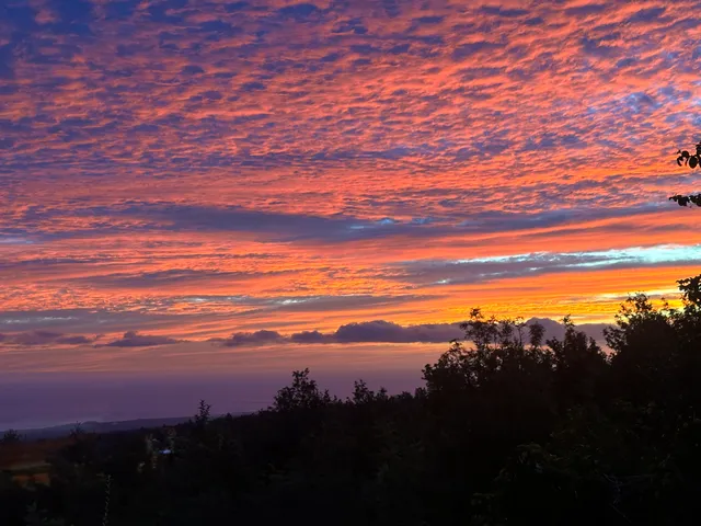 a view of city and mountain