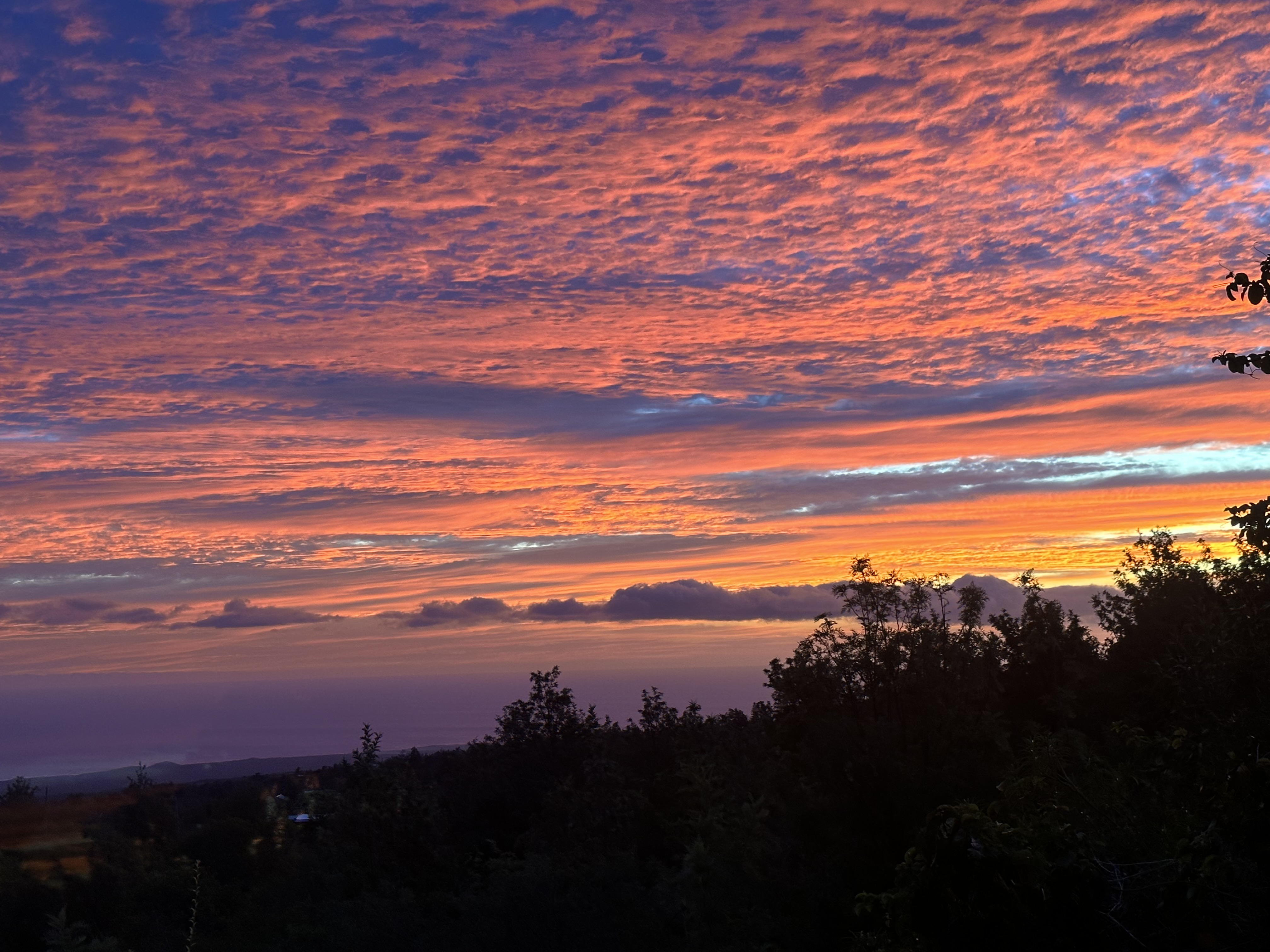 a view of city and mountain