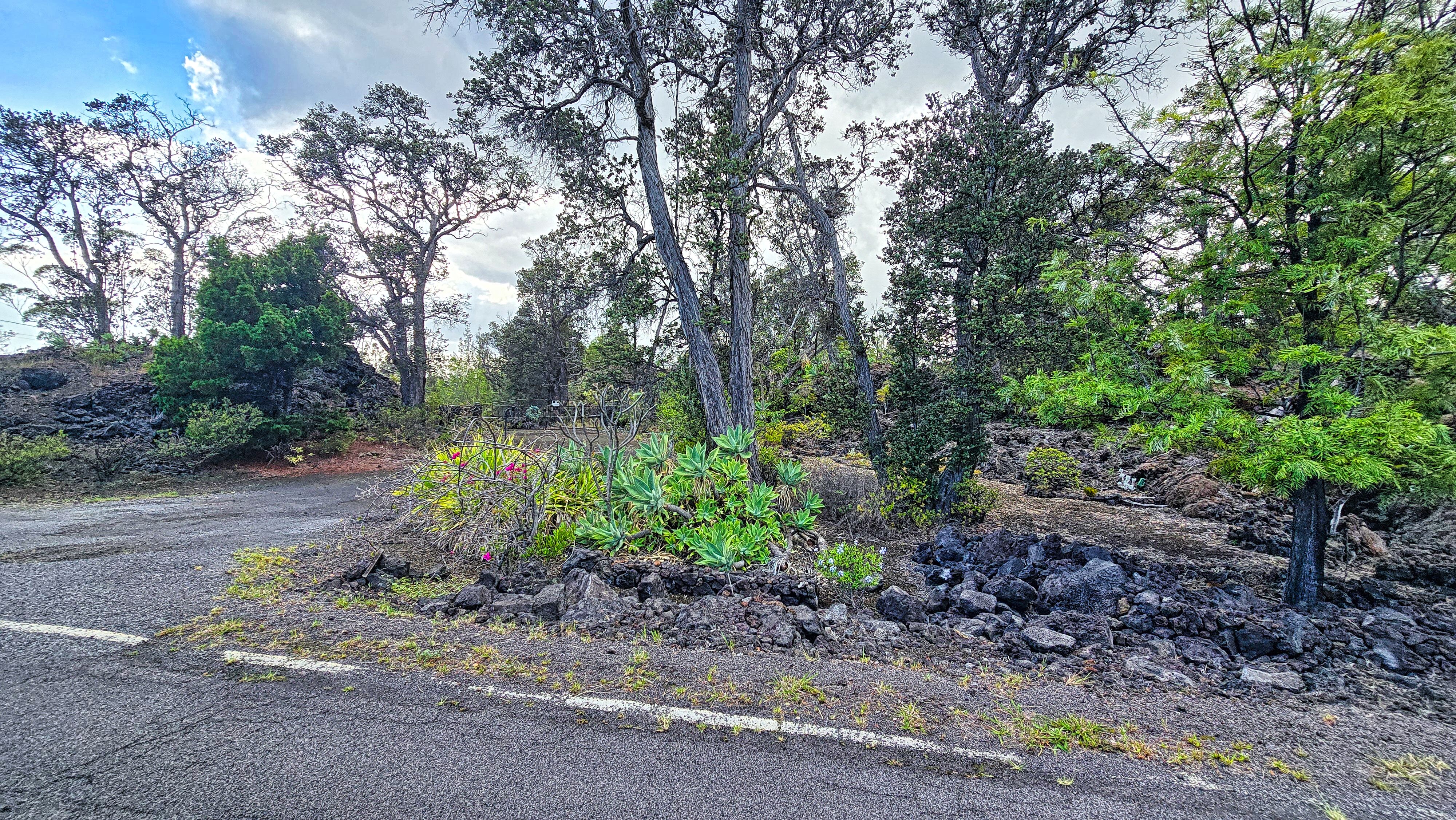 92-8233 Reef Parkway Ocean View, HI 96704 - Photo 25 of 30 a backyard of a house with lots of green space