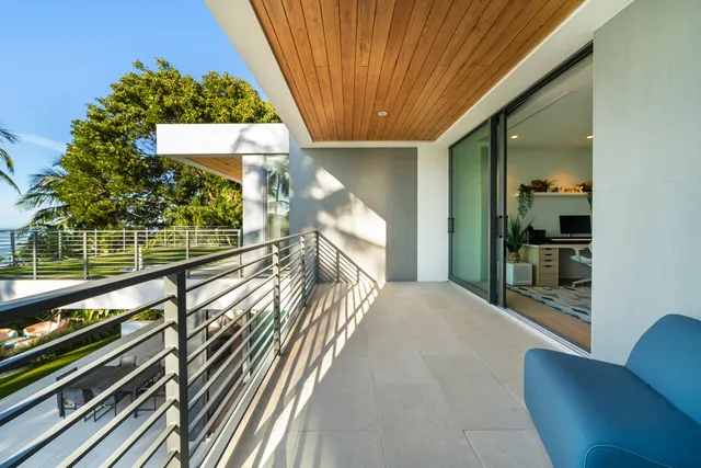 a view of a yard with plants and trees