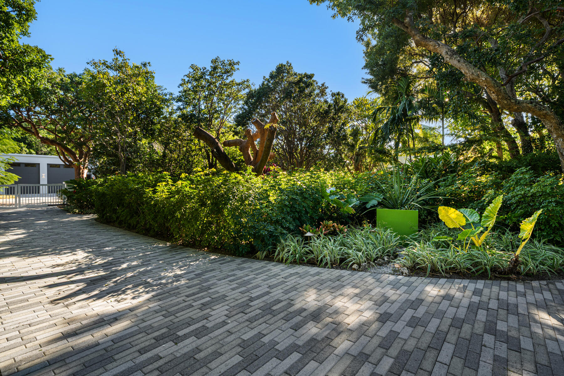 19 Avacado Street Islamorada, FL 33036 - Photo 92 of 104 a view of a garden with plants and trees