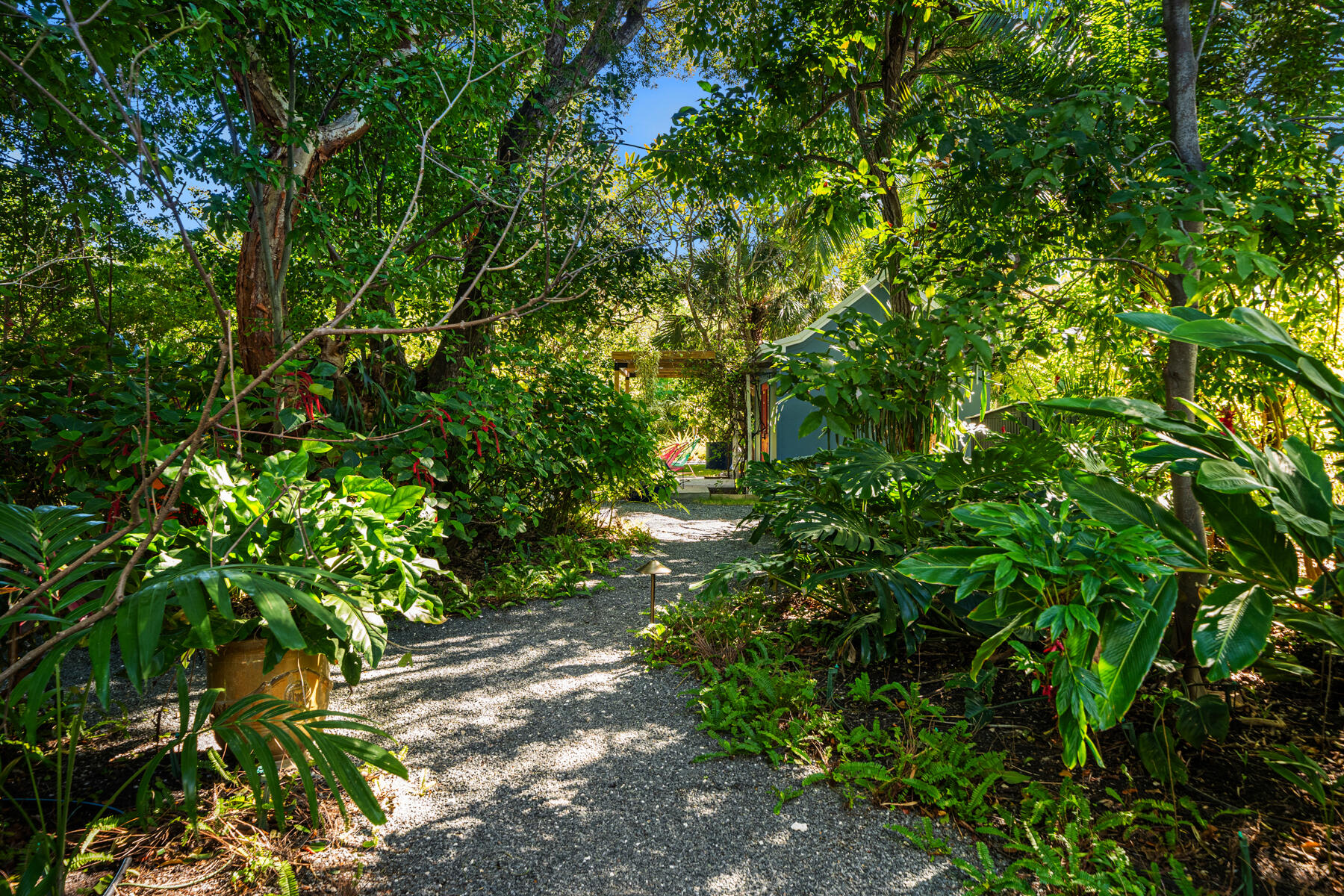 19 Avacado Street Islamorada, FL 33036 - Photo 95 of 104 a view of a lush green forest