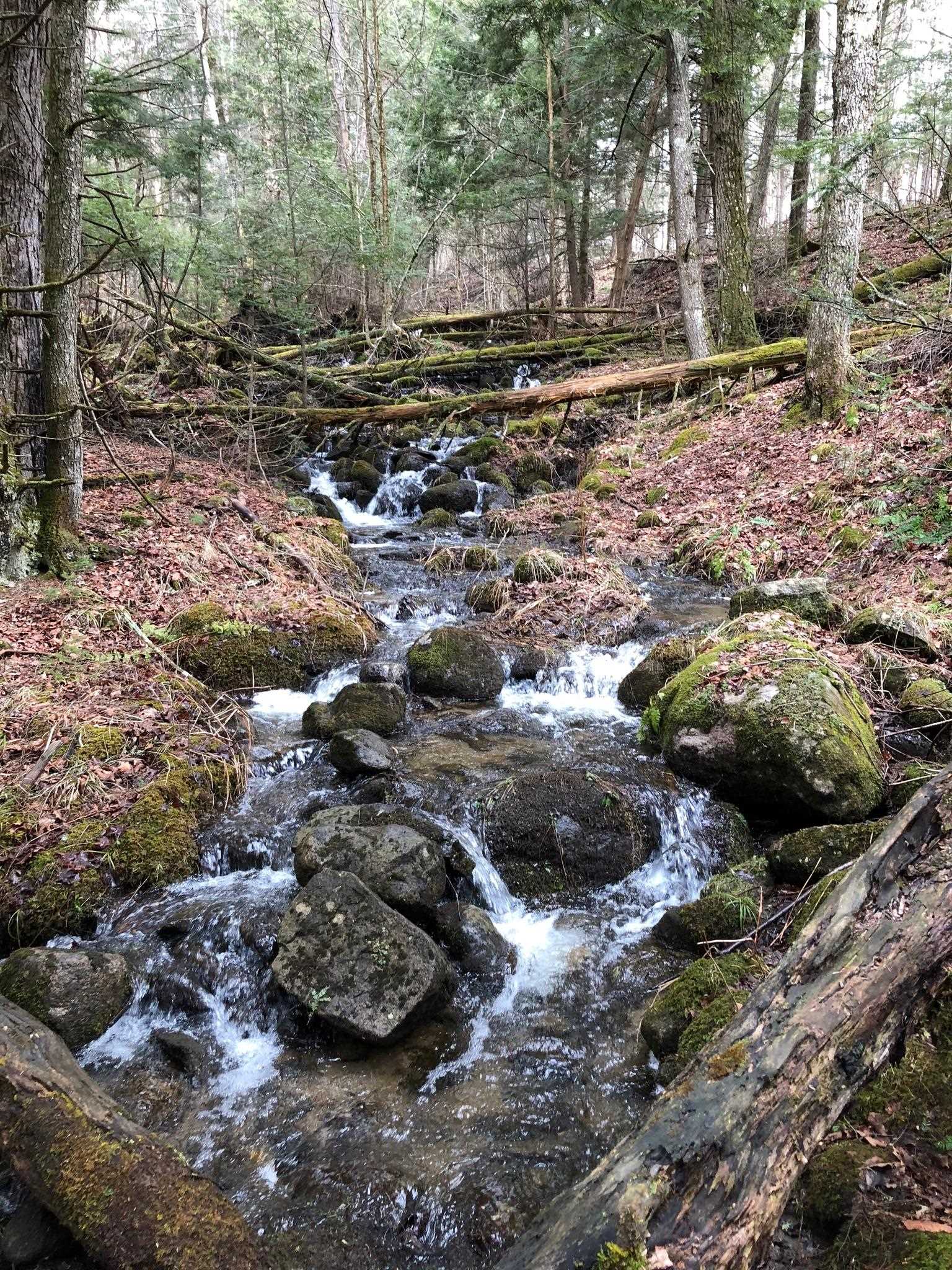 1090 Center Road, Unit 1 Albany, VT 05845 - Photo 57 of 57