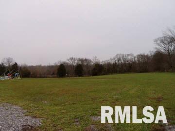 730 New Saratoga Road Anna, IL 62906 - Photo 4 of 6