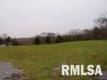730 New Saratoga Road Anna, IL 62906 - Photo 6 of 6