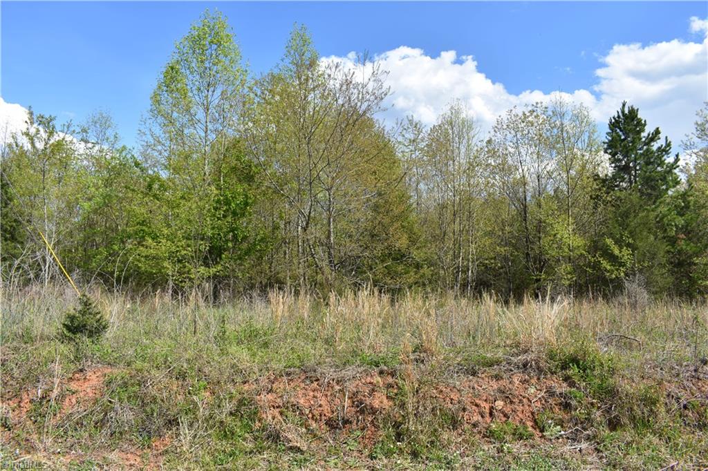 12 Elkin Wildlife Road Elkin, NC 28621 - Photo 7 of 7 Gallery Image 7