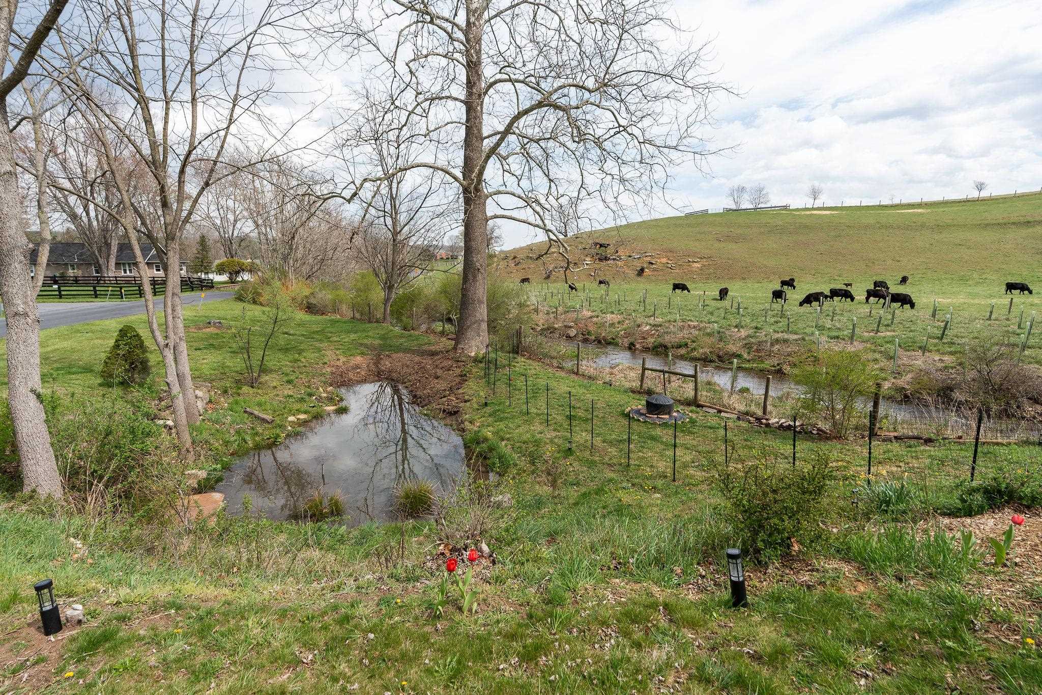 232 Whiskey Creek Road Churchville, VA 24421 - Photo 33 of 52 Gallery Image 33