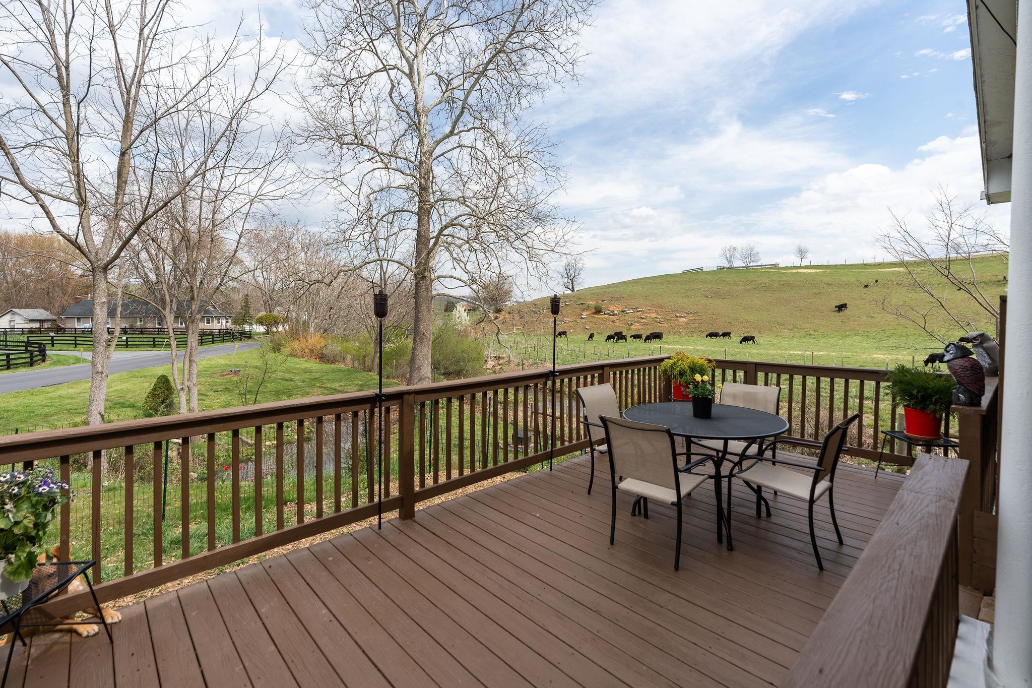 232 Whiskey Creek Road Churchville, VA 24421 - Photo 4 of 52 Gallery Image 4