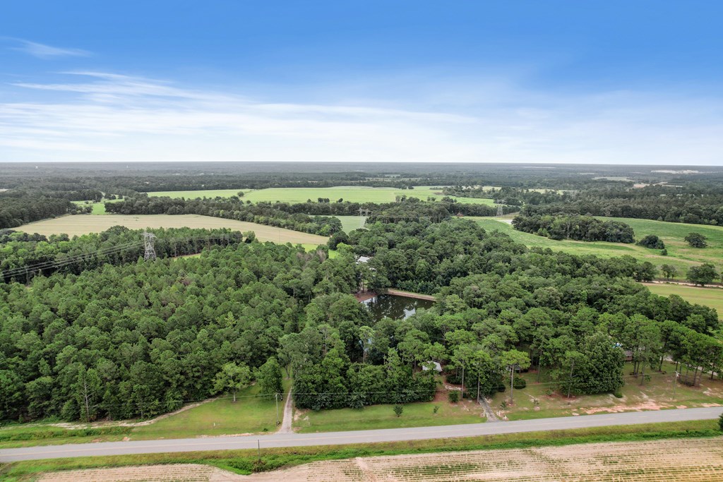 6850 North Co Road Columbia, AL 36319 - Photo 56 of 81