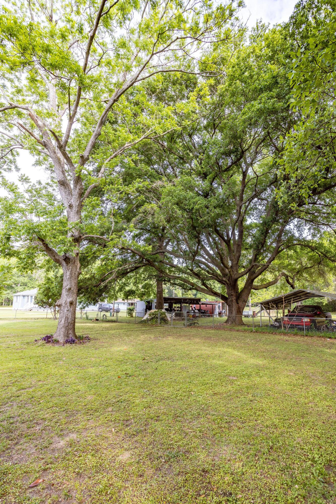 4250 River Road Johns Island, SC 29455 - Photo 22 of 24 Coastalrephoto4250RiverrdJohnsIslandfrou