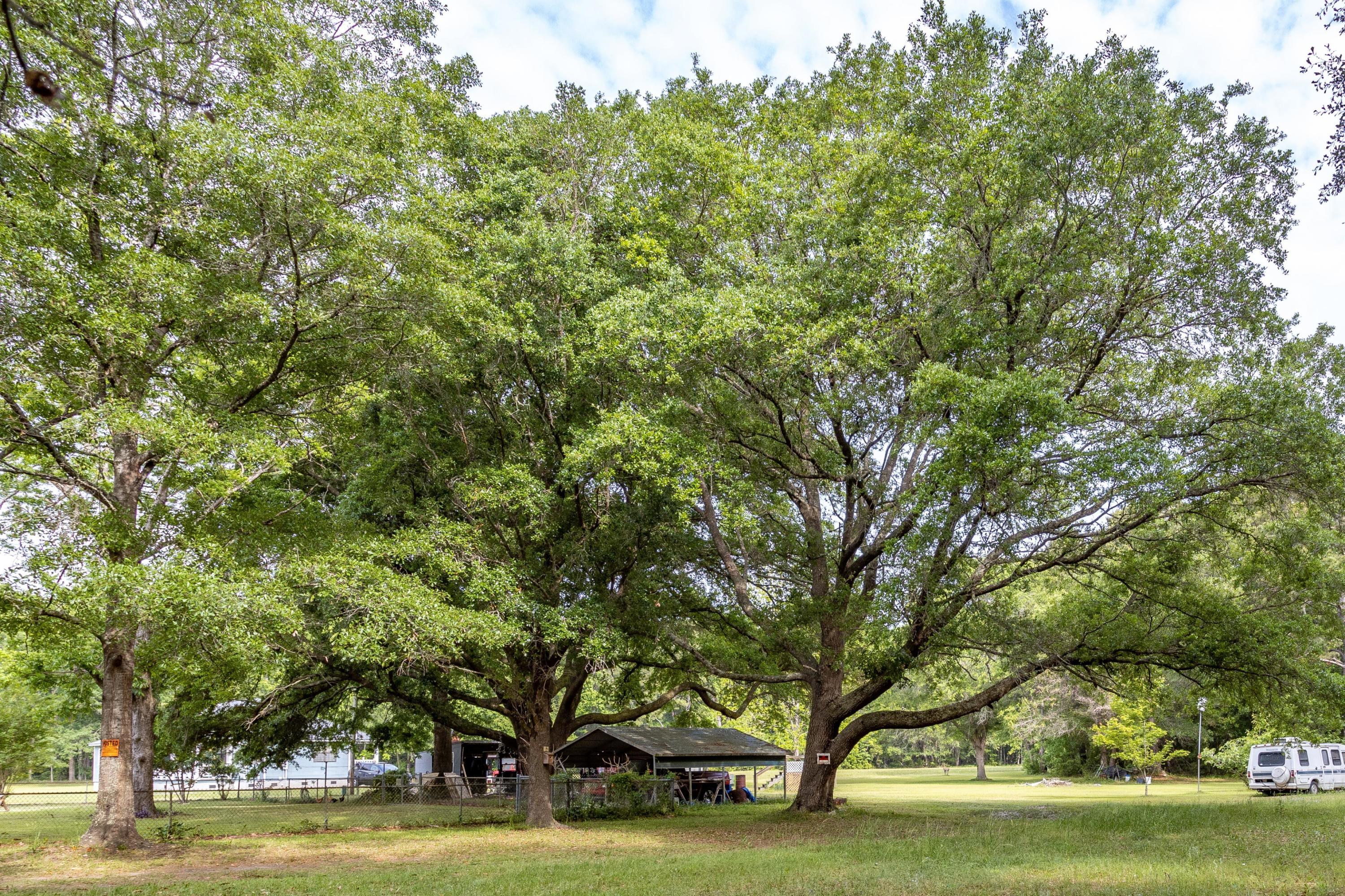 4250 River Road Johns Island, SC 29455 - Photo 6 of 24 Coastalrephoto4250RiverrdJohnsIslandfrou
