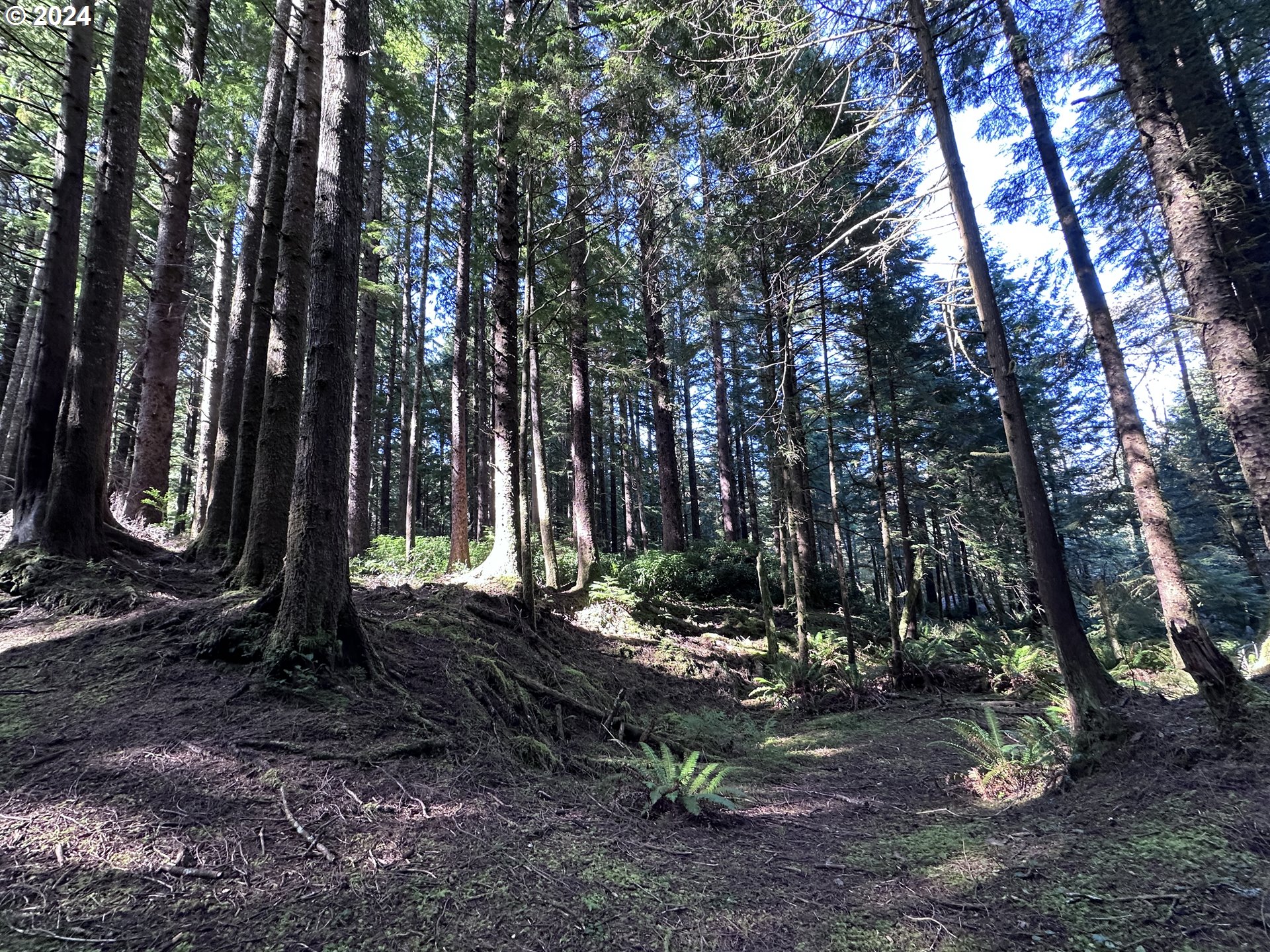 Undisclosed Address Arch Cape, OR 97102 - Photo 20 of 28 Gallery Image 20