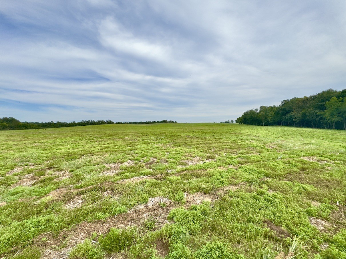 7 Shelbyville Road Morrison, TN 37357 - Photo 4 of 5 Gallery Image 4