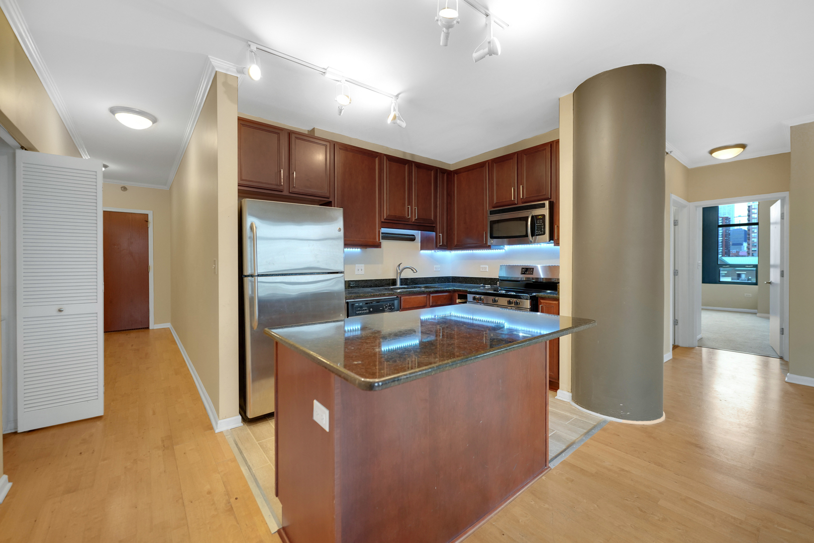 1255 South State Street, Unit 903 Chicago, IL 60605 - Photo 9 of 22