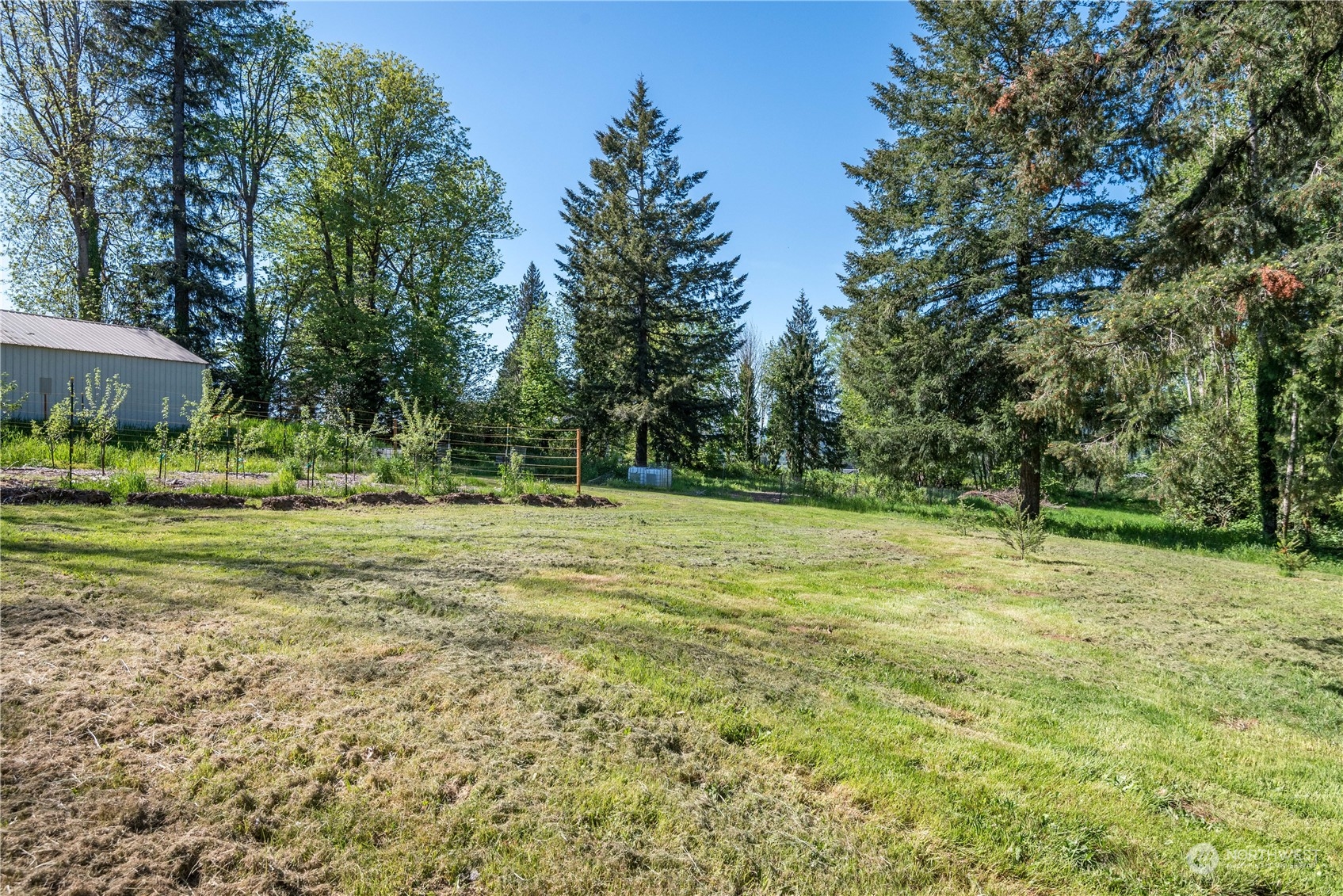 223 Young Road Mossyrock, WA 98564 - Photo 25 of 33 Gallery Image 25