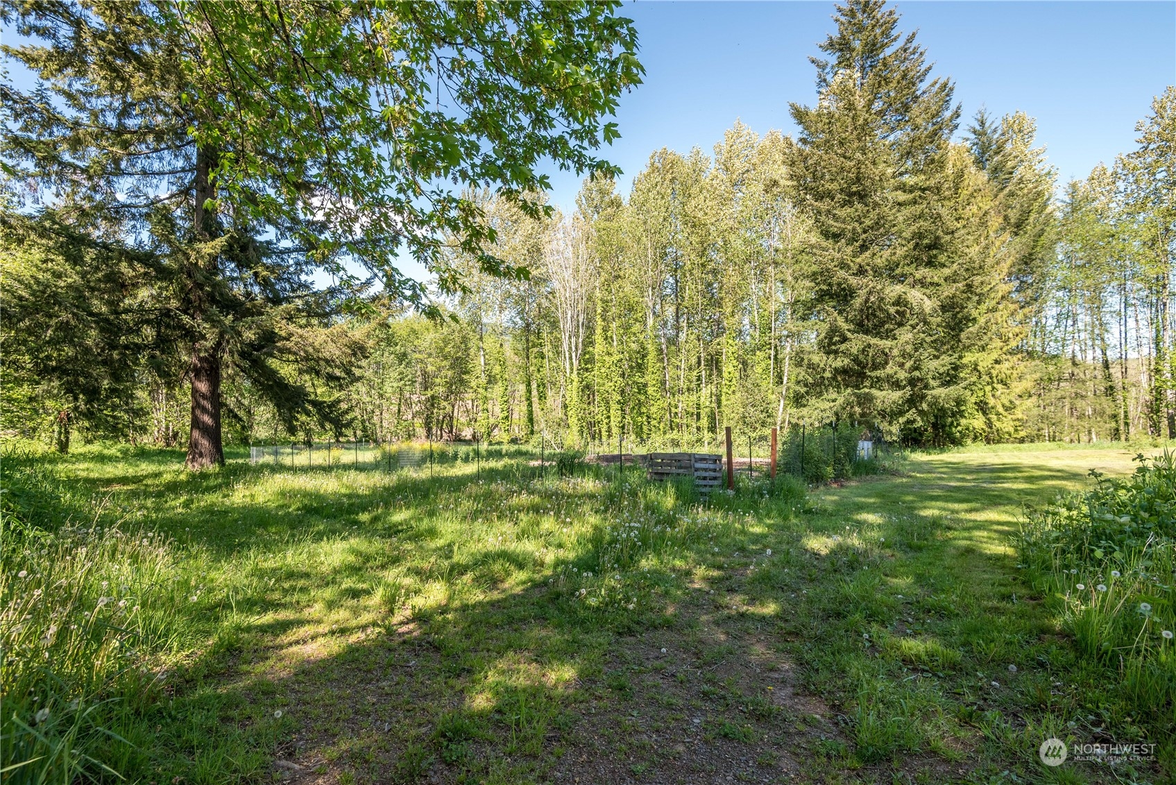 223 Young Road Mossyrock, WA 98564 - Photo 27 of 33 Gallery Image 27