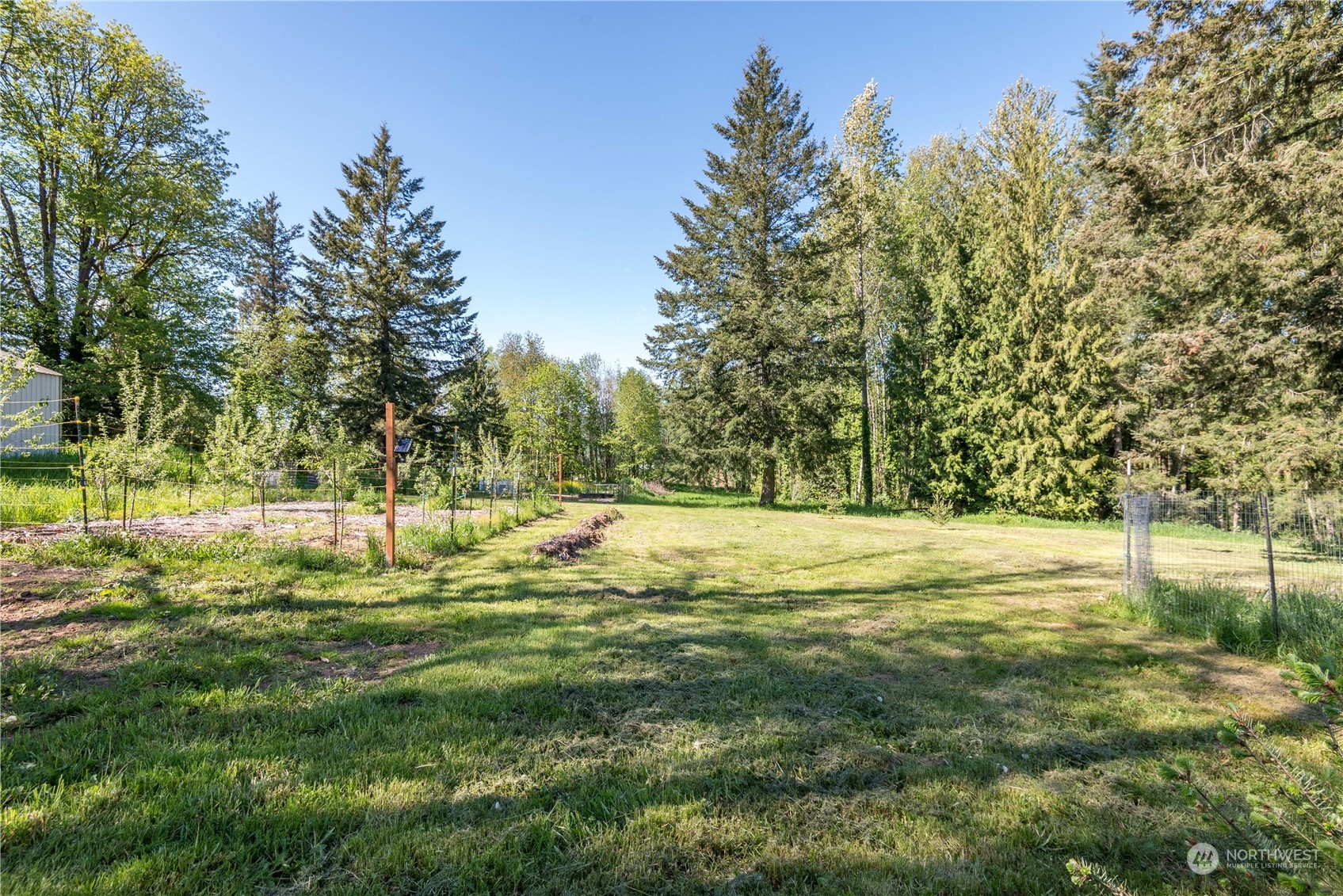 223 Young Road Mossyrock, WA 98564 - Photo 29 of 33 Gallery Image 29