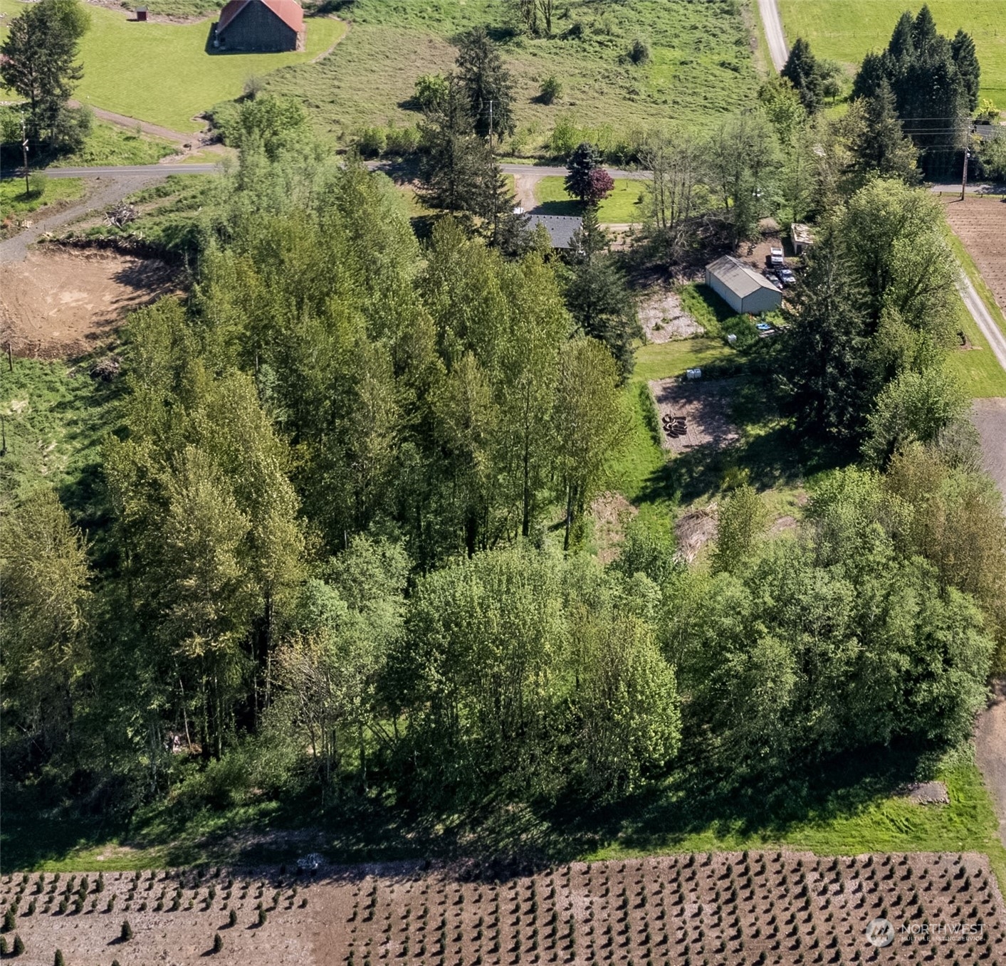 223 Young Road Mossyrock, WA 98564 - Photo 31 of 33 Gallery Image 31