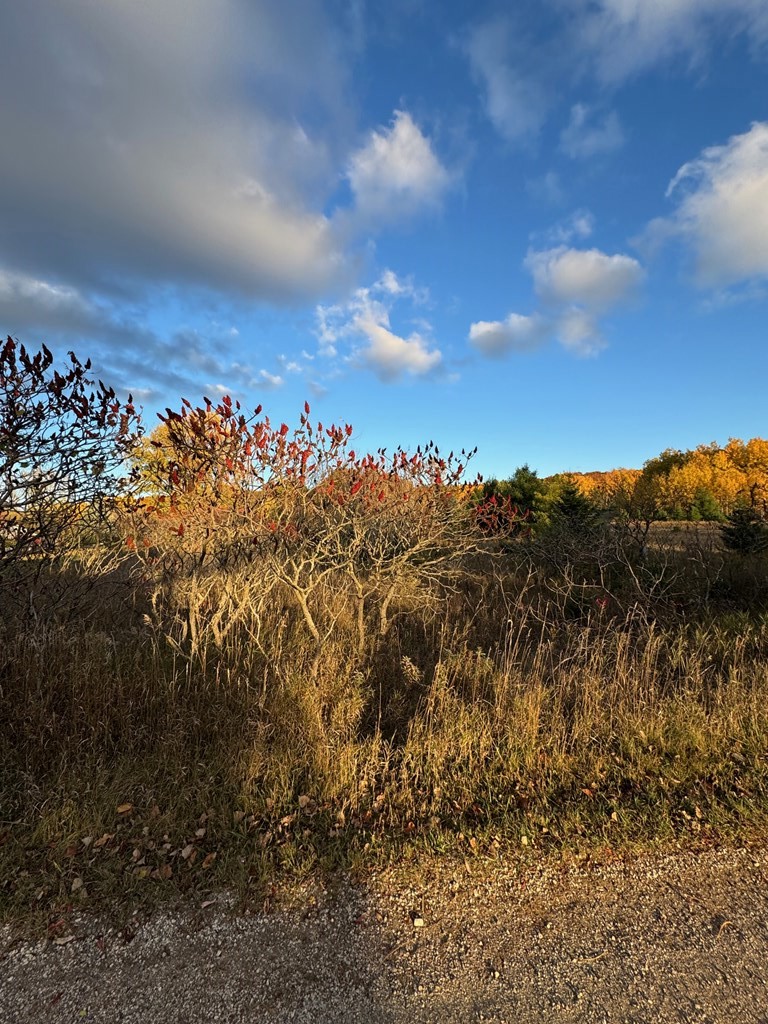 Valley View Trail Sturgeon Bay, WI 54235 - Photo 10 of 12
