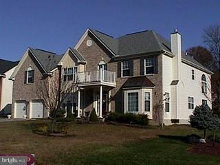 56 Montague Road Newark, DE 19713 - Photo 1 of 6 Gallery Image 1