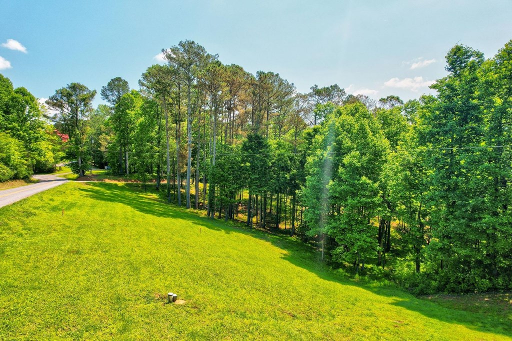 Tract C Crossroads Church Road Ellijay, GA 30540 - Photo 11 of 15 Gallery Image 11
