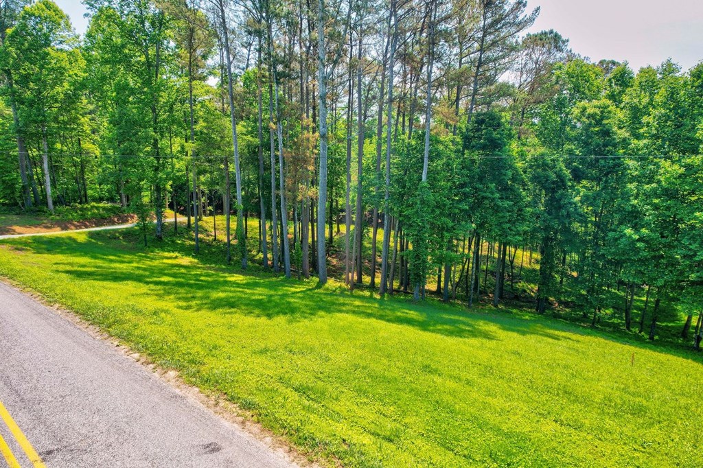 Tract C Crossroads Church Road Ellijay, GA 30540 - Photo 13 of 15 Gallery Image 13