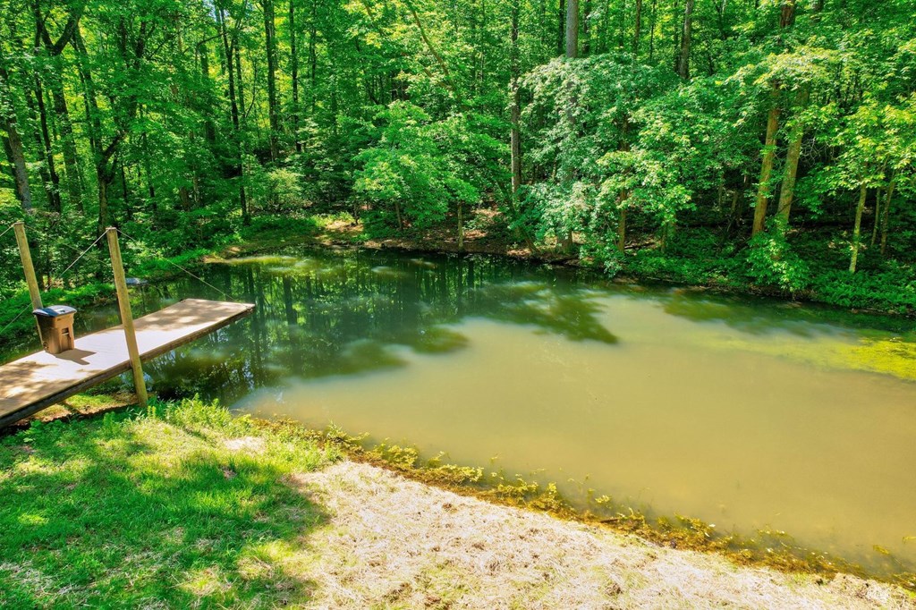 Tract C Crossroads Church Road Ellijay, GA 30540 - Photo 3 of 15 Small pond with dock